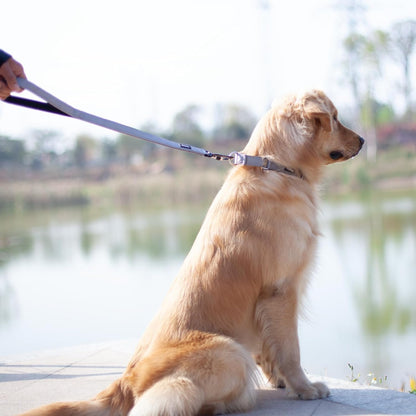 Pets 24 Inches Heavy Duty Short Leash with Comfortable Handle and Lightweight Aviation Aluminium Clip Lead- for Large Medium Dogs Daily Walking and Training. (24 Inches, Sleet Gray)